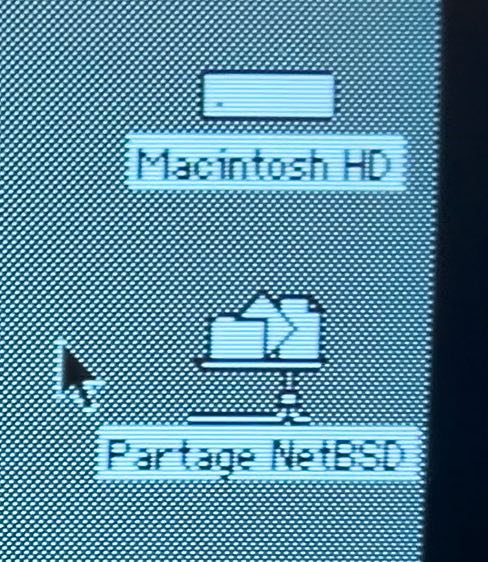 Icone du montage réseau sur le Mac