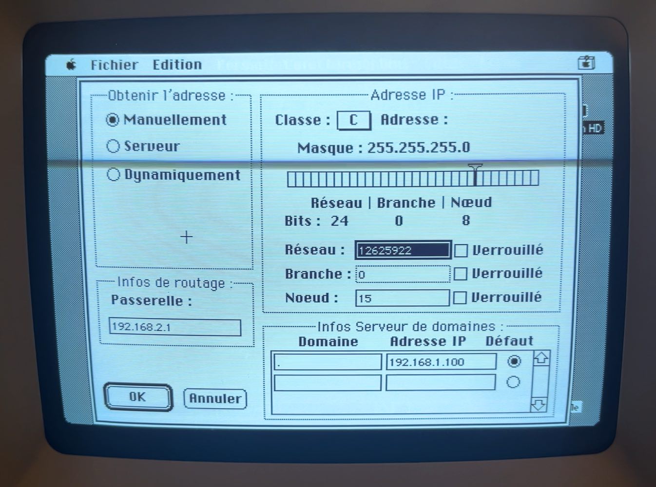Deuxième fenêtre MacTCP avec les options supplémentaires décrites ci-dessus